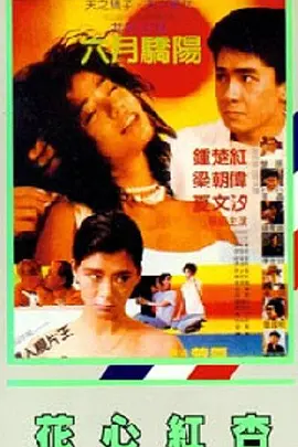 一二三乱码有限公司
