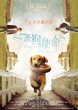 国产欧美精品一区二区三区四区