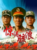 国内久久精品视频