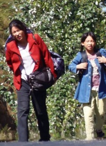 日本一本在线视频