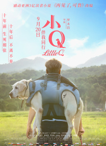 在线亚洲国产精品区