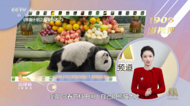 久久久精品2019中文字幕2020